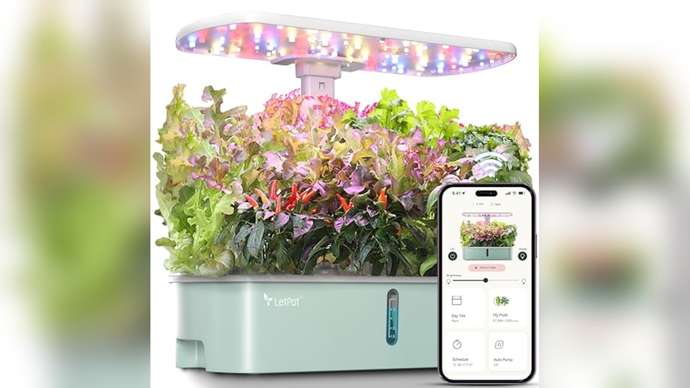 Best Indoor Hydroponic Herb Gardens for Year-Round Freshness
